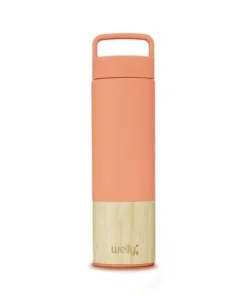 Welly Bottle Welly 18oz Vacuum Insulated Stainless Steel Wide Mouth Water Bottle Mint -Water Bottles Shop unnamed file 1912