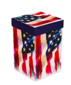 Evergreen Beautiful American Flag Ceramic Travel Cup with Lid - 5 x 4 x 7 Inches -Water Bottles Shop unnamed file 2444