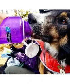 Nalgene 32oz Wide Mouth Water Bottle Gray