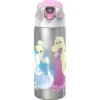19oz Stainless Steel Double Wall Water Bottle - Zak Designs