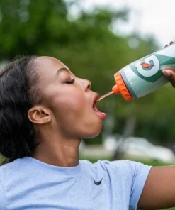 Gatorade 30oz Insulated Squeeze Water Bottle - Gray