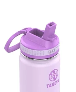 Takeya 14oz Kids' Stainless Steel Water Bottle Grape Purple