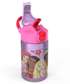 Disney Princess 14oz Stainless Steel Double Wall Valiant Bottle - Zak Designs -Water Bottles Shop unnamed file 3874