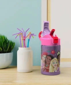 Disney Princess 14oz Stainless Steel Double Wall Valiant Bottle - Zak Designs -Water Bottles Shop unnamed file 3875