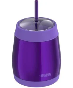 Thermos 16 oz. Vacuum Insulated Stainless Steel Cold Dome Water Bottle w/ Straw