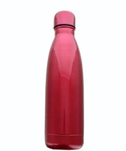 DC Comics Seven20 DC Harley Quinn 17oz Stainless Steel Insulated Water Bottle