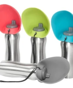 Messy Mutts Stainless Steel 24 Ounce Travel Water Bottle with Green Silicone Flip Up Bowl