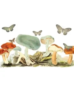 Lost Gods Retro Mushrooms Stainless Steel Water Bottle