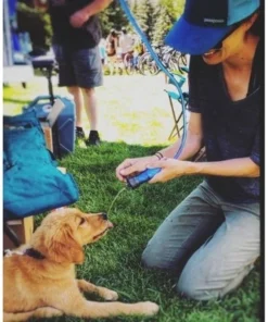 LifeStraw Flex Water Filter with Gravity Bag -Water Bottles Shop unnamed file 5933